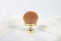 brush